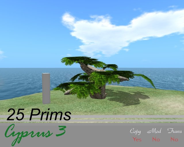 Realism tree: cyprus 3