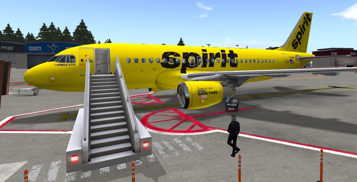 SPIRIT Airlines Paint For D318