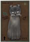 KittyCatS Box - Tonkinese - Blue Mink Tortie