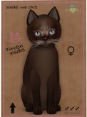 KittyCatS Box - Abyssinian - Dark Chocolate