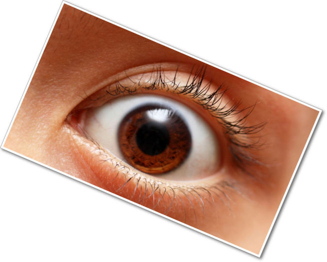 [FCD Basics] - Ladies' Eyes for Classic Avatars - 18 shades (COPY)