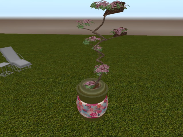 Banzai Tree In Planter