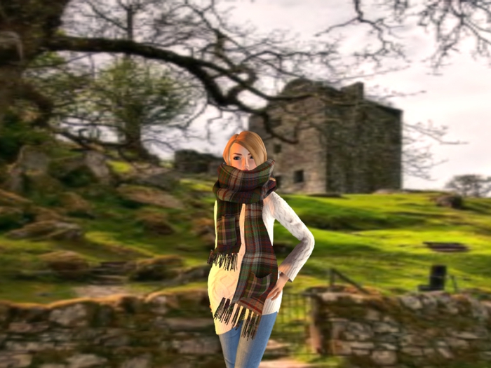 MacDonald Oversized Scarf & Hair  Sales Bag