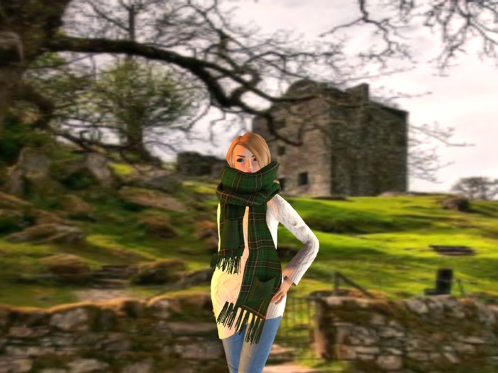 MacLean Oversized Scarf & Hair   Sales Bag