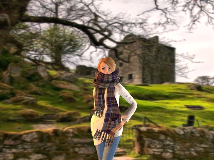 MacPherson Oversized Scarf & Hair   Sales Bag