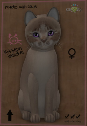 KittyCatS Genesis - Mocha