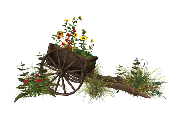 MSD - Sunflower Cart - Verity (15 LI) C/M
