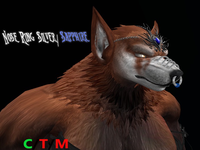 Nose Ring Silver/ Sapphire