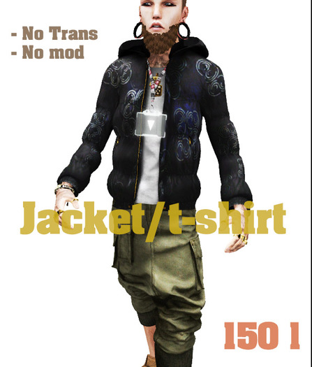 feather jacket/t-shirt B