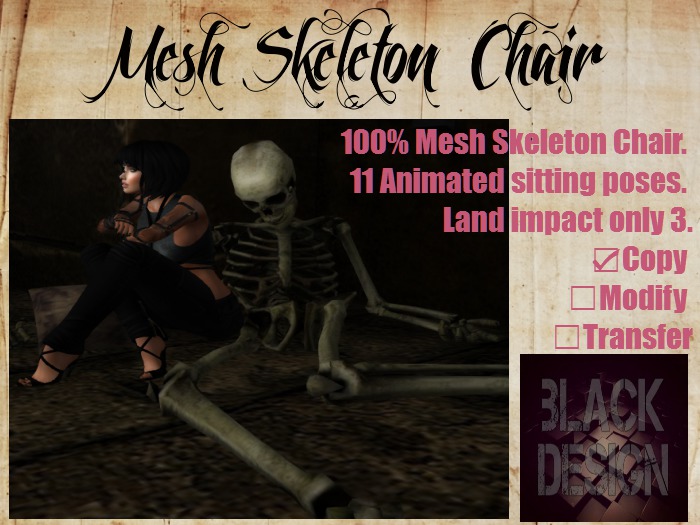 BD- Skeleton Chair 