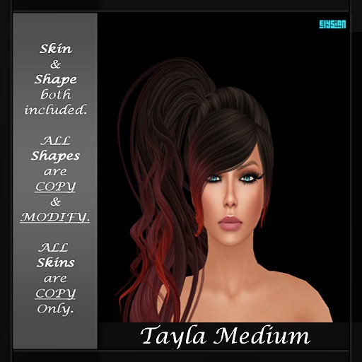 TAYLA DEMO (MEDIUM)
