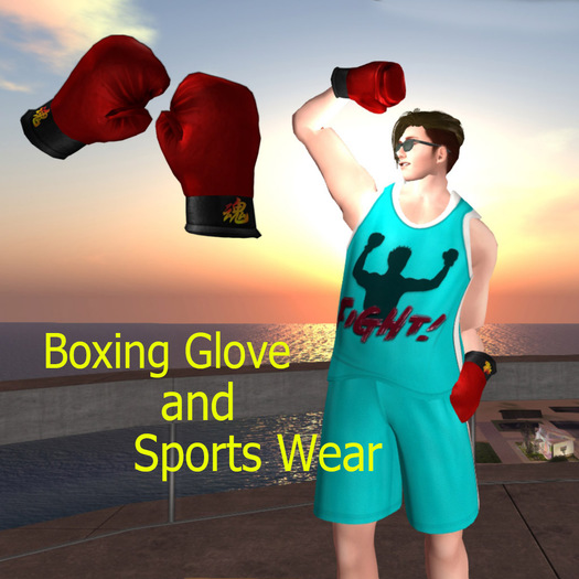 Boxing Glove