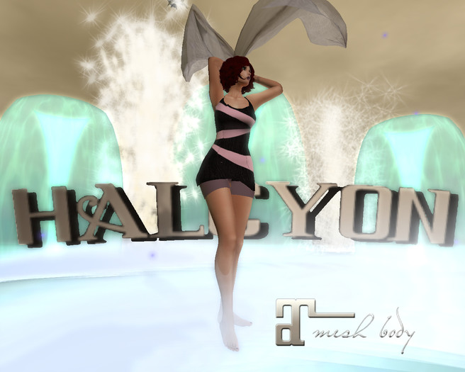 MR~ Halcyon ~ DECO Swim Suit roxy Maitreya
