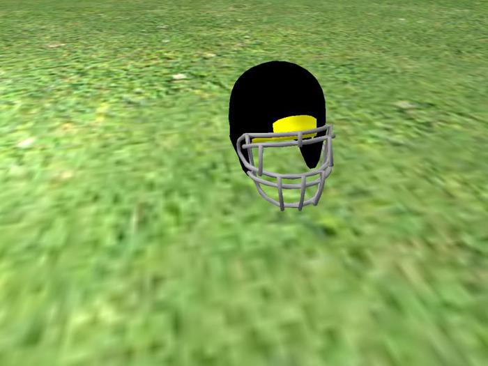 helmet tipjar