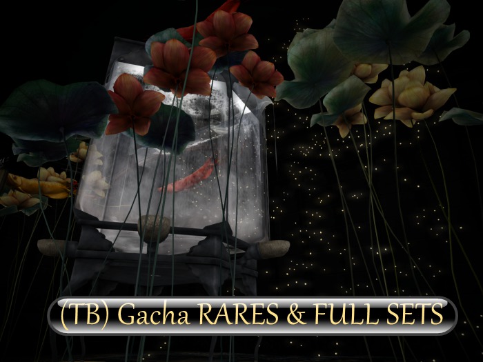 {anc} fish shop daughters (FULL SET)