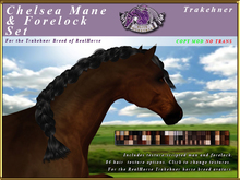 *E* Chelsea Mane & Forelock Set [BOXED] RH Trakehner
