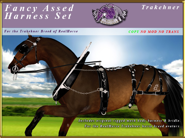 *E* Rigged Fancy Assed Harness [BOXED] RH Trakehner