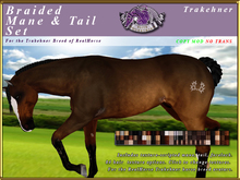 *E* RealHorse Braided Mane & Tail Set [BOXED] RH Trakehner