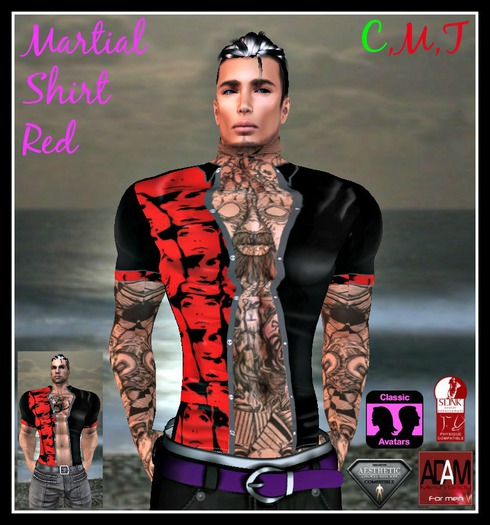 (LL) Martial Shirt Red Boxed