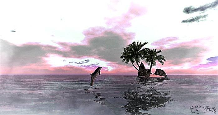Dolphin Dream