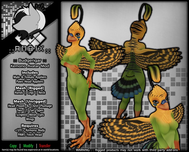 ::AMBIX:: Budgerigar ::