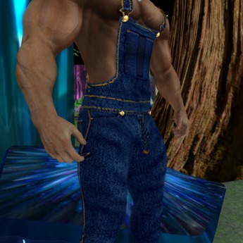 blue jean coveralls
