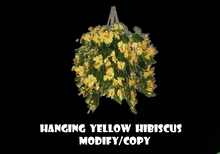Hanging Yellow Hibiscus Basket (Flexi)