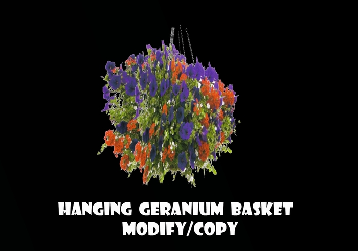 Hanging Geranium Basket (Flexi)
