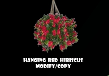 Hanging Red Hibiscus Basket (Flexi)