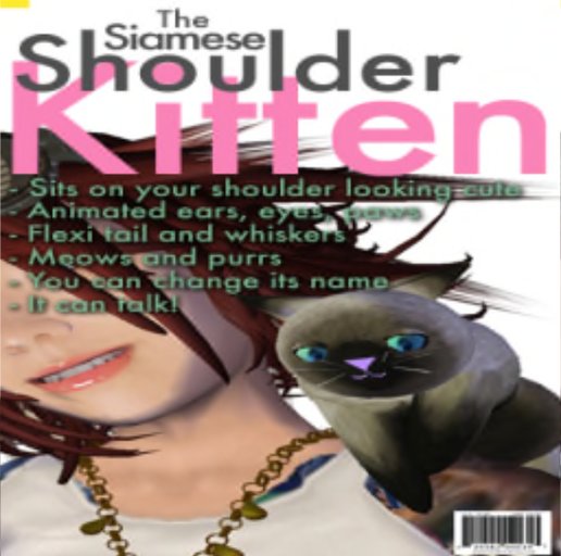 The Siamese Shoulder Kitten