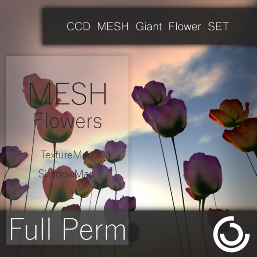 CCD MESH Giant Flower SET