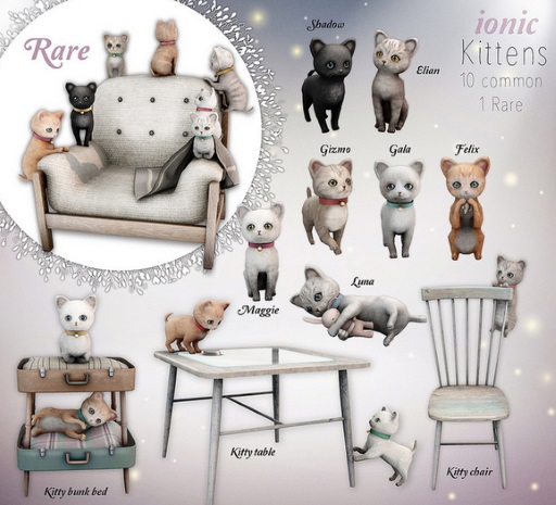 *ionic* Kitty Chair 1