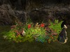 Msd medieval wall ruins cottage garden 2 2a 001