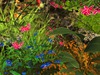 Msd medieval wall ruins cottage garden 2 5a 001