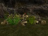 Msd medieval wall ruins cottage garden 3 7a 001
