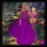 CB~Brea Fuchsia(BOX)