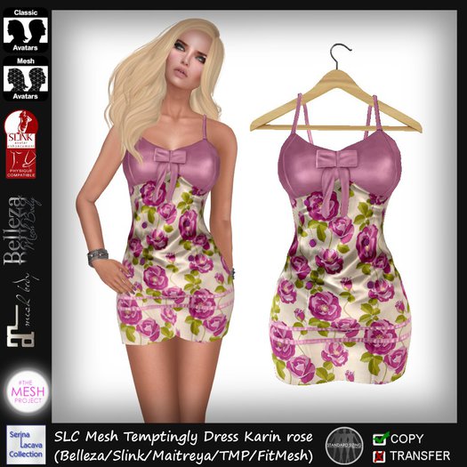 SLC Mesh Temptingly Dress Karin rose