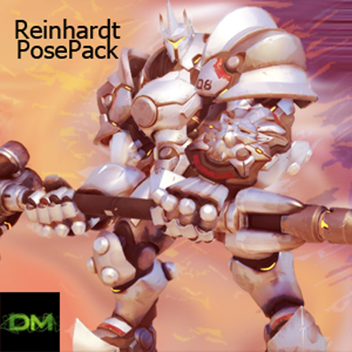 DM - Reinhardt PosePack