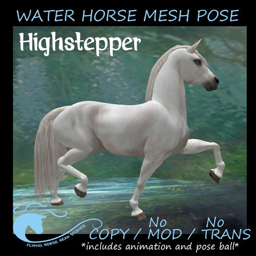 Water Horse Mesh Photo Pose- Highstepper