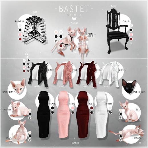 -Pixicat- Bastet.Jacket - Pink (Fitted)
