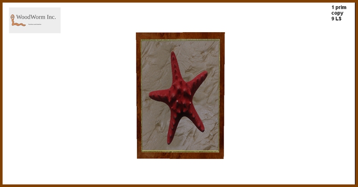 A starfish picture