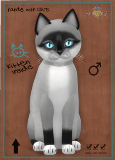 KittyCatS Box - Foxie - Salt & Pepper Mask