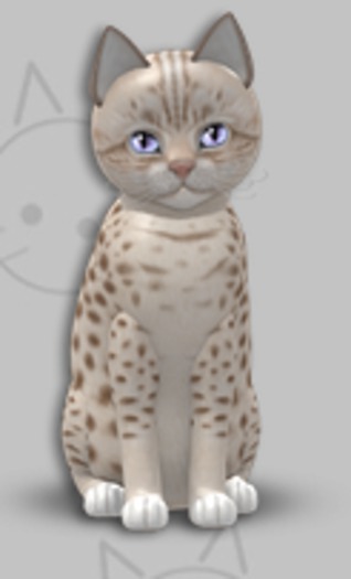 KittyCatS Box - Ocicat Lavender/6T/Male