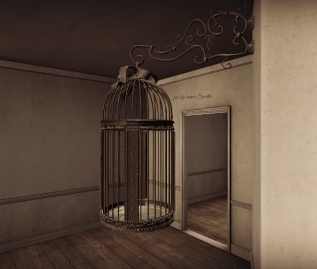 4.-DRD- MM2 Birdcage