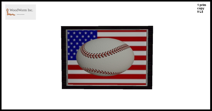 USA baseball picture