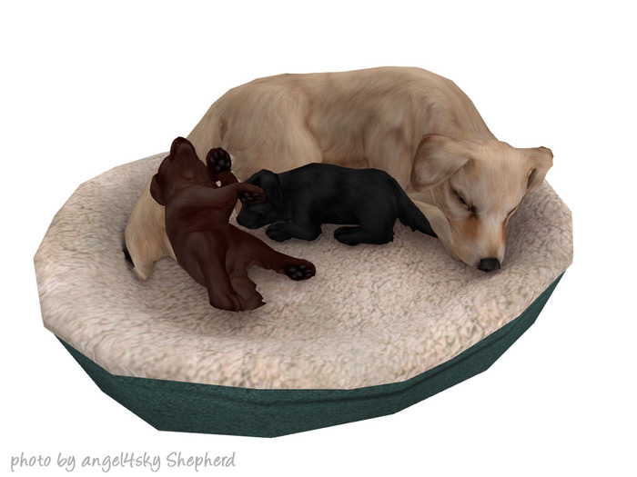 JIAN Lively Labs :: Family Bed [Gacha]