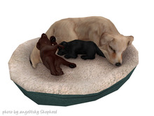 JIAN Lively Labs :: Family Bed [Gacha]