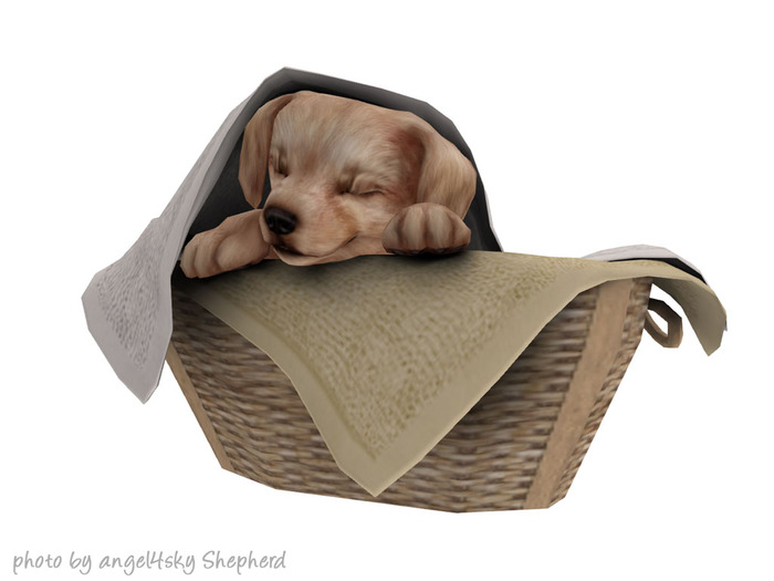 JIAN Lively Labs :: Laundry Pup [Gacha]