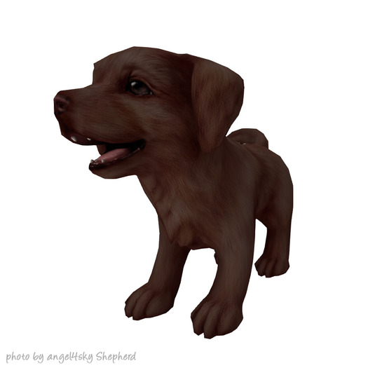 JIAN Lively Labs :: Wander Pup Chocolate [Gacha]
