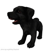 JIAN Lively Labs :: Wander Pup Black [Gacha]